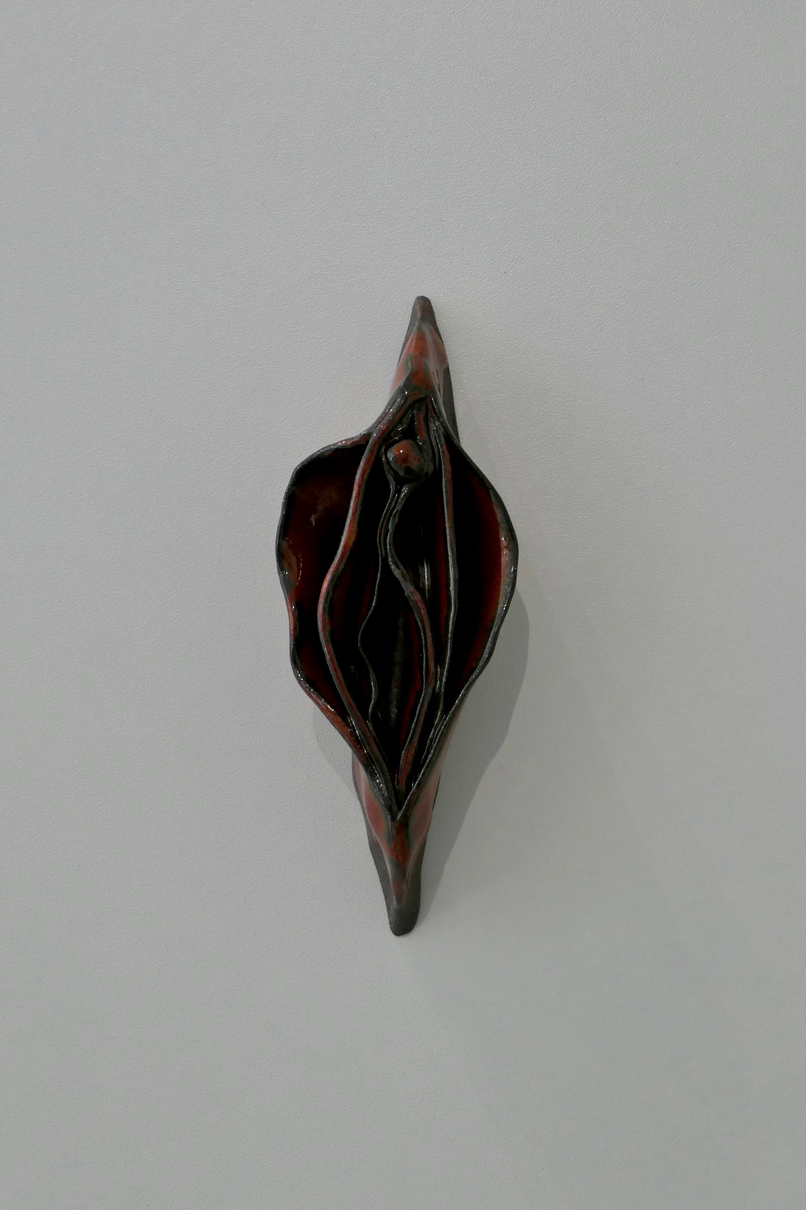 Dark vulva