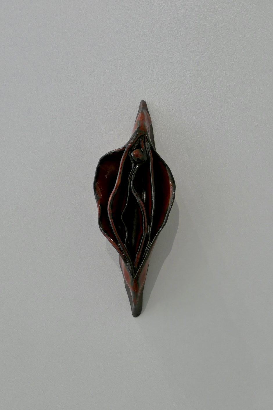 Dark vulva