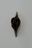 Dark vulva