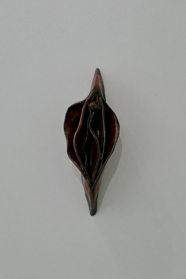 Dark vulva