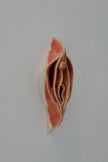 Peachy Vulva