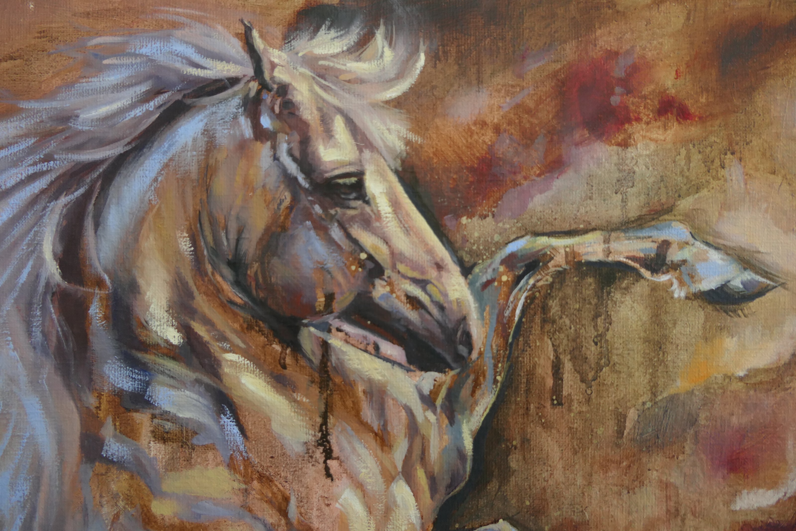 Spirit Unbridled