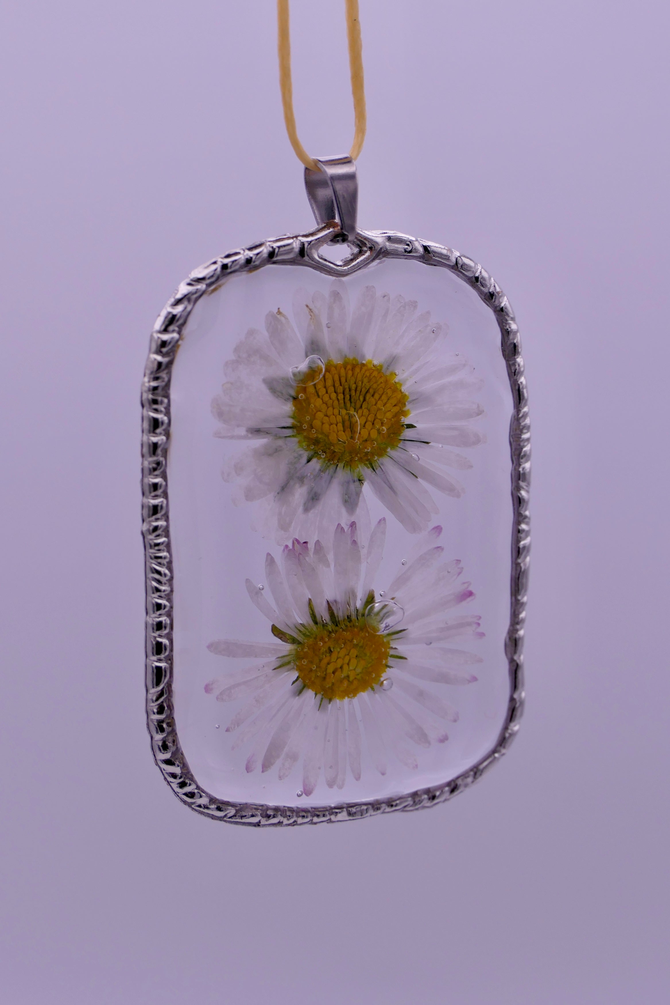 White daisies pendants