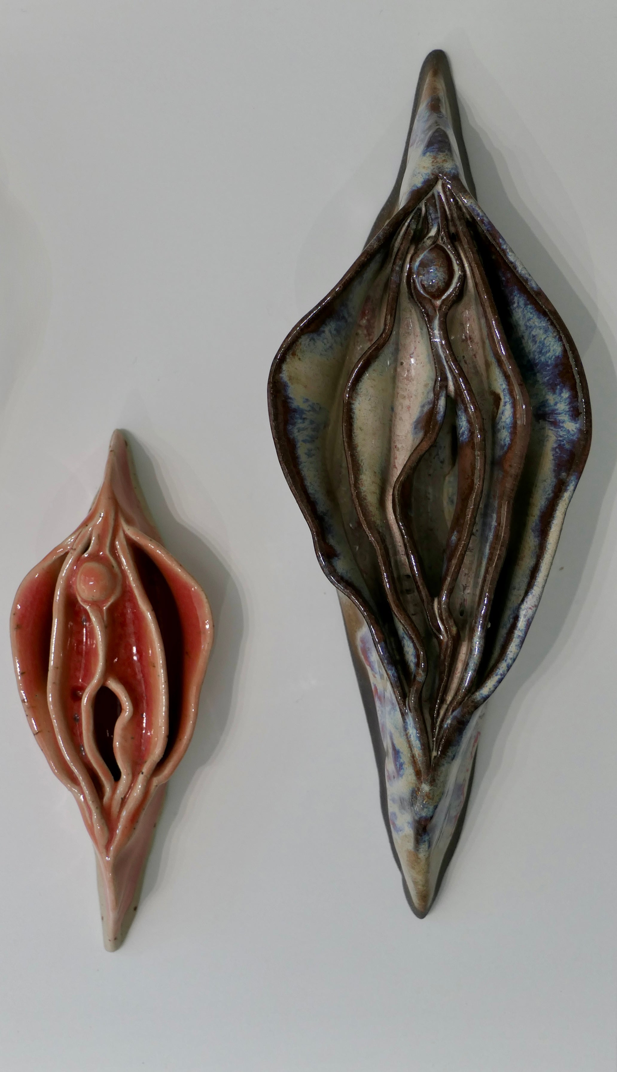 Vulva