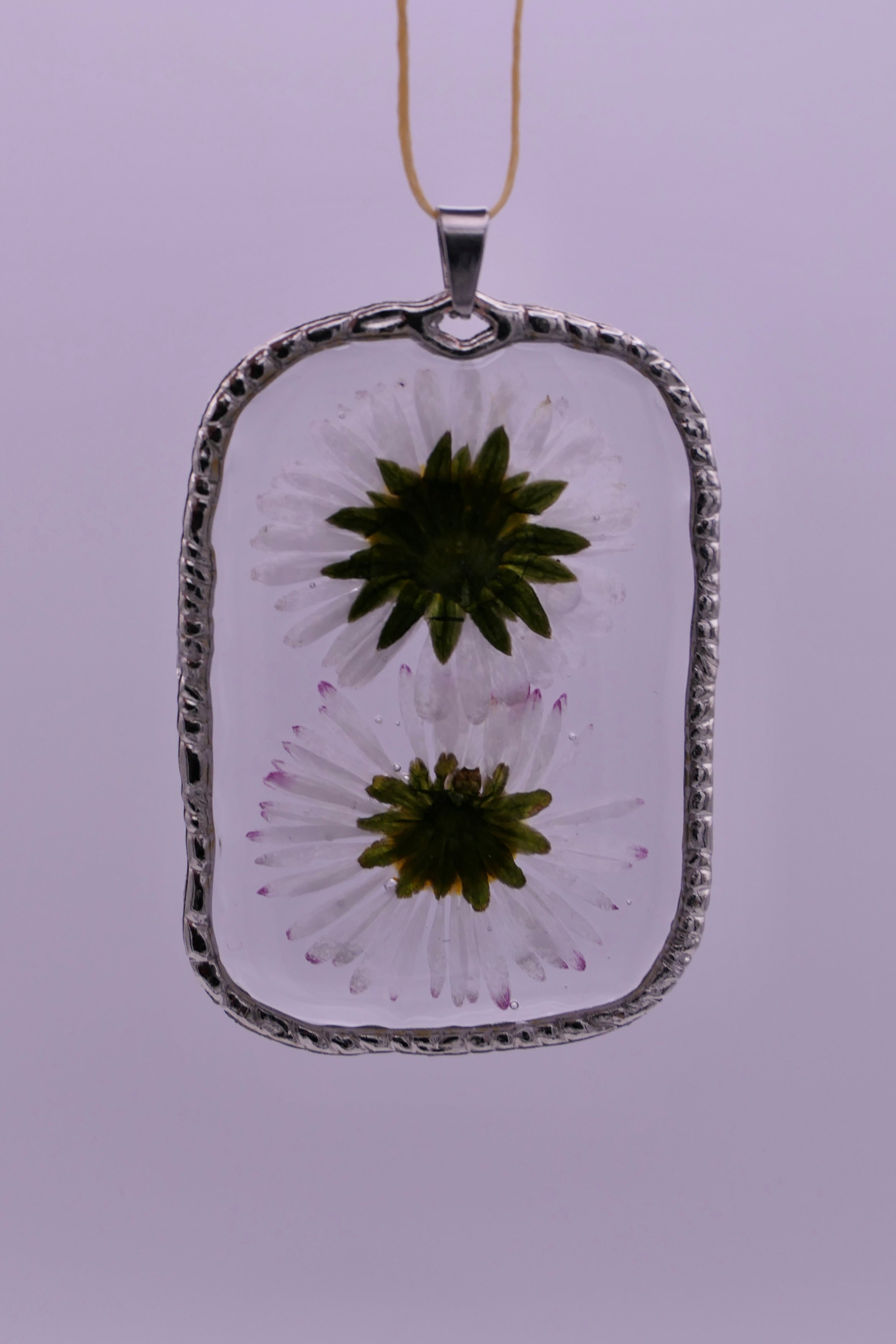 White daisies pendants