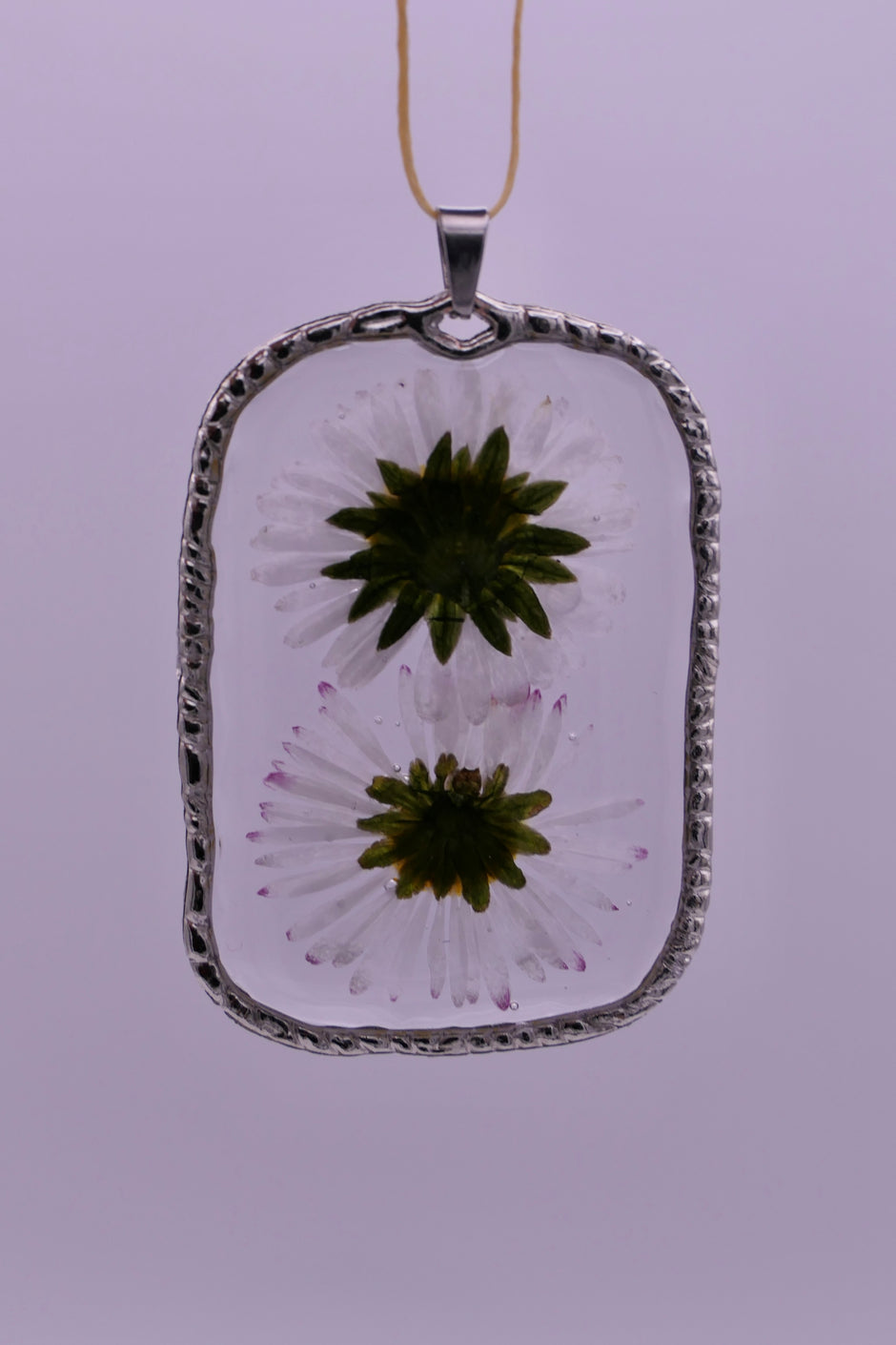 White daisies pendants