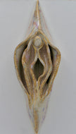 Light Vulva