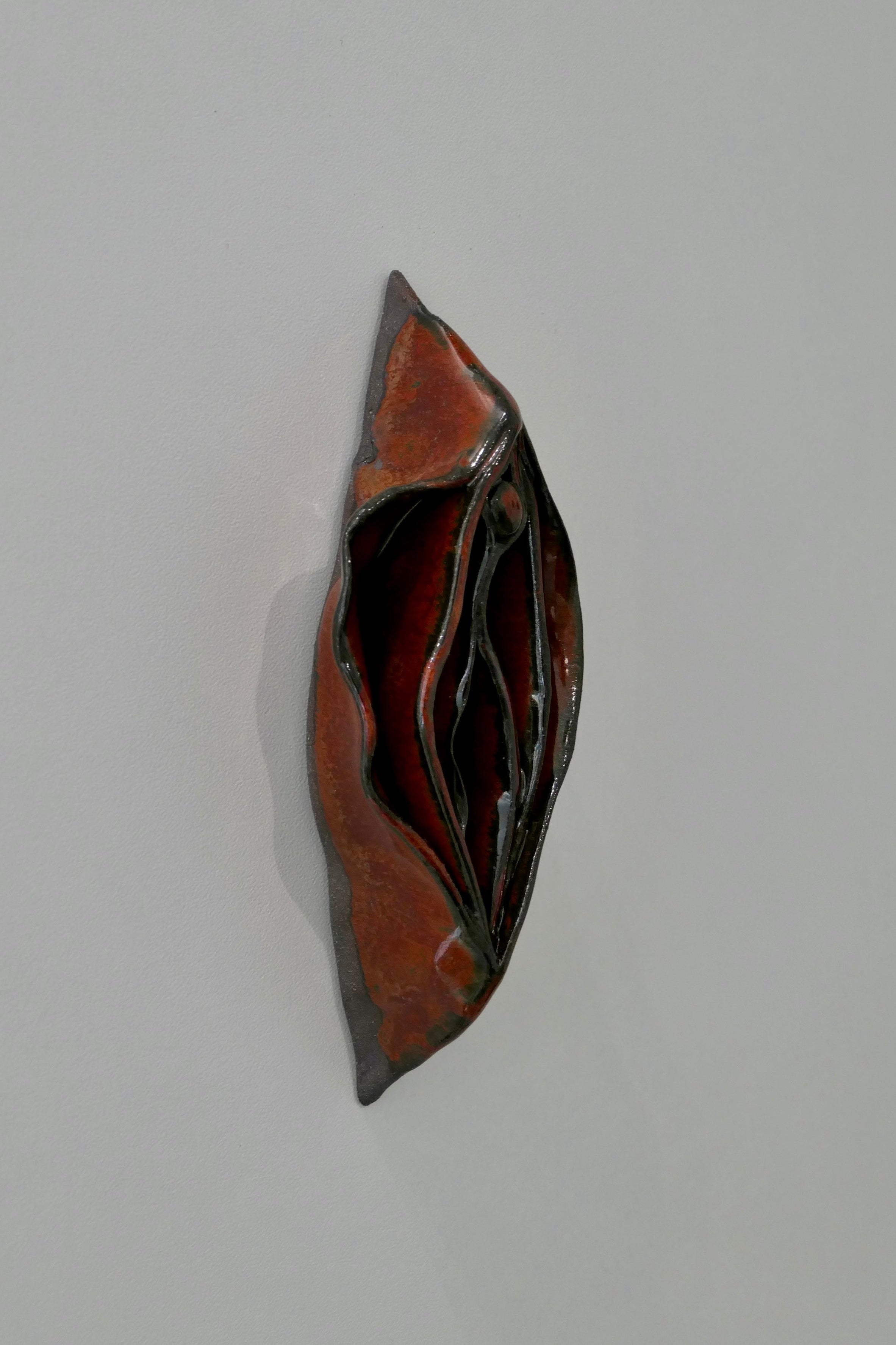 Dark vulva