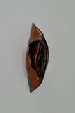 Dark vulva