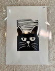 Le chat