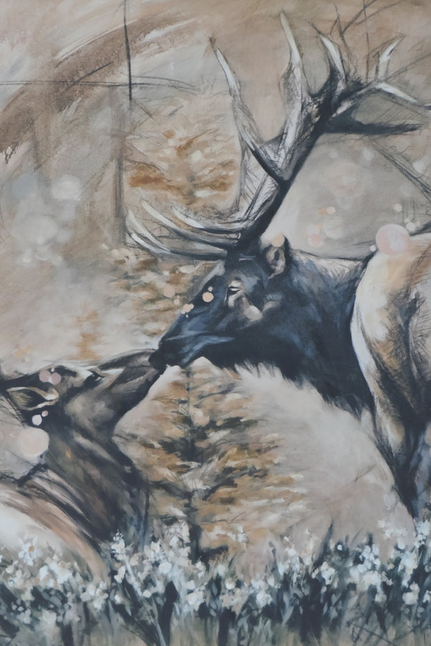 Kissing Deer