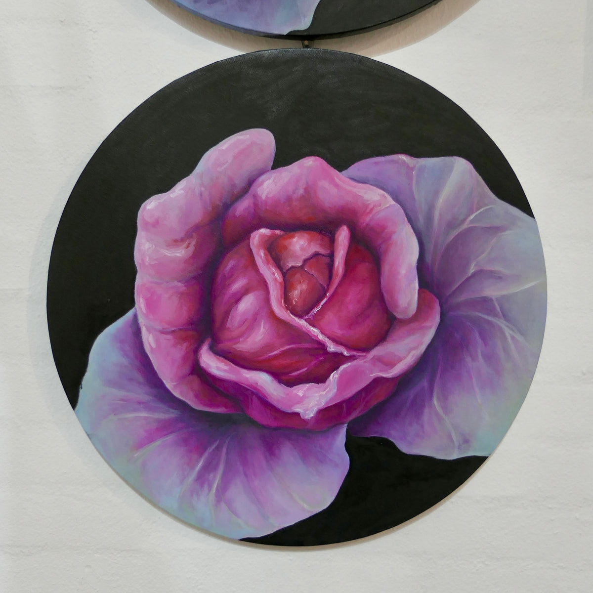 Vulva kål III