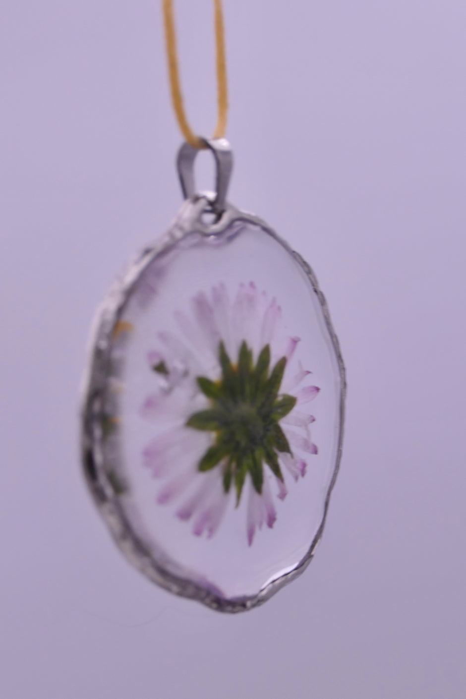 White daisies pendants