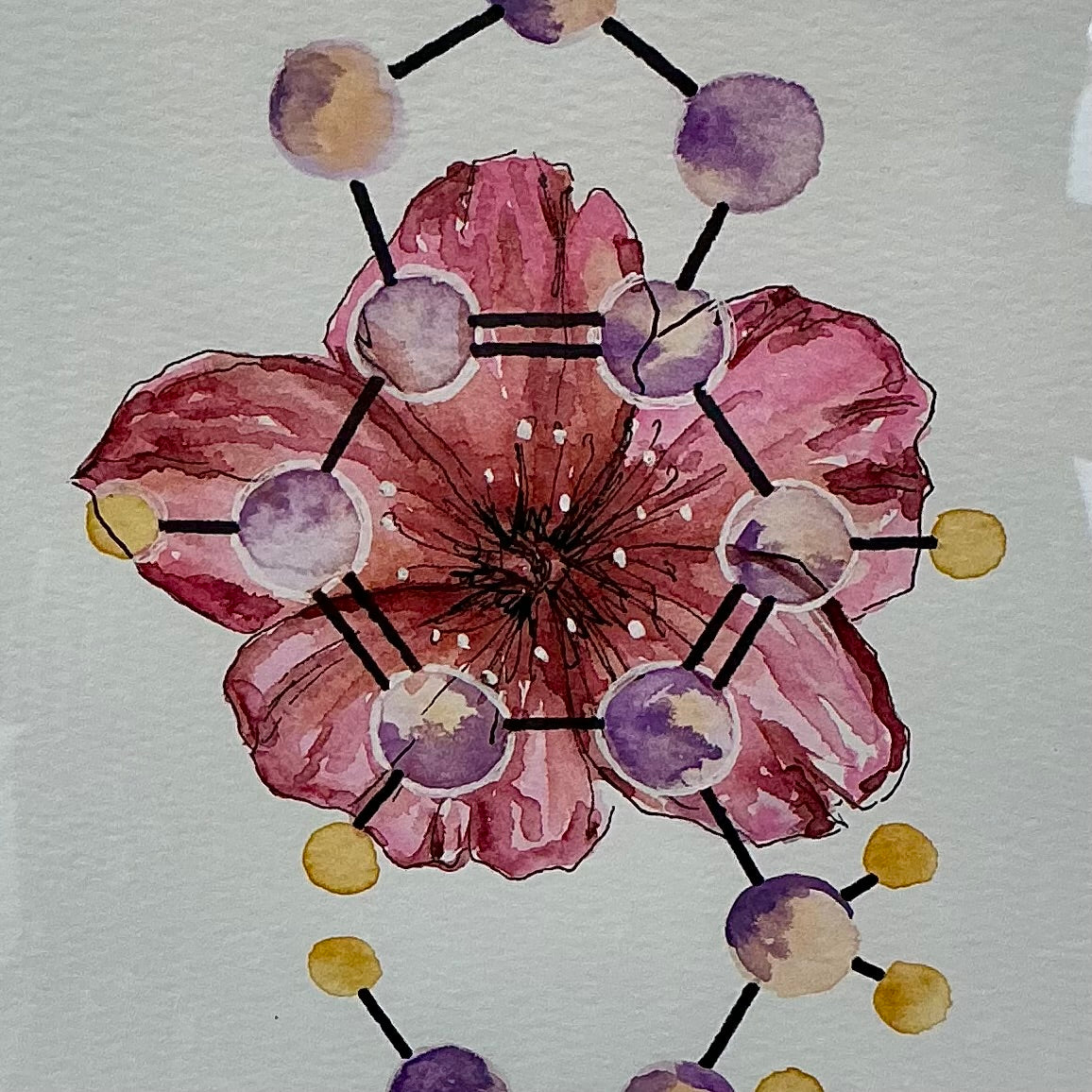 3,4-Methylenedioxymethamphetamine (MDMA)