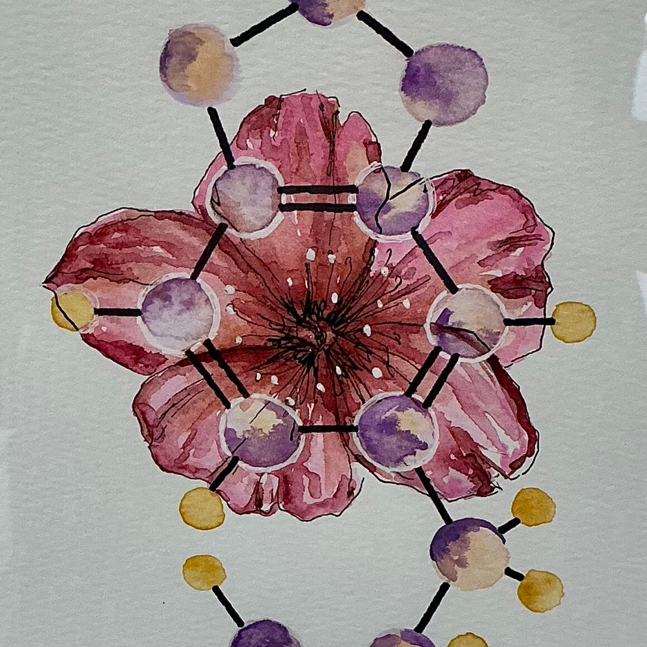 3,4-Methylenedioxymethamphetamine (MDMA)