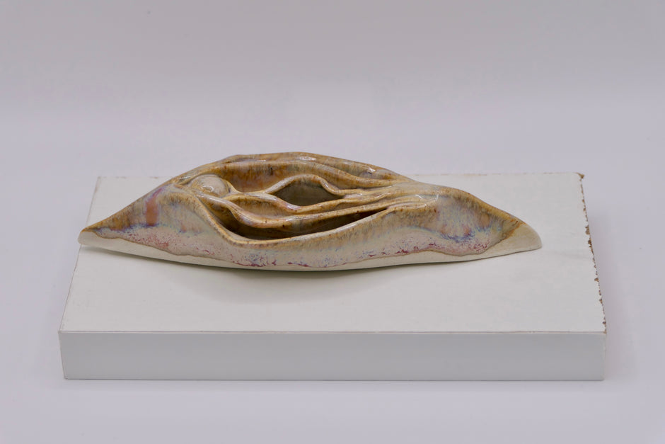 Light Vulva