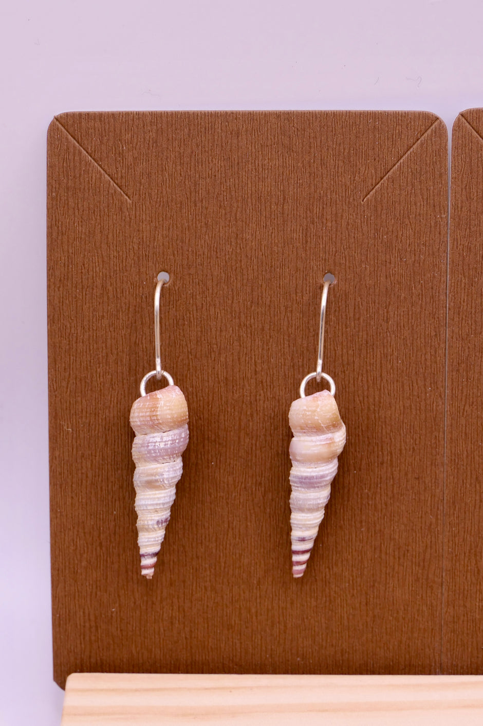 Turritella shells | Earrings