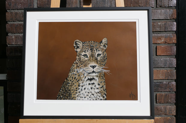 Srilankansk Leopard