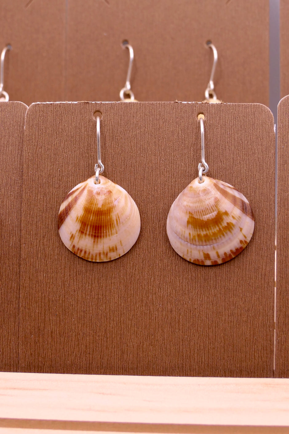 Seashell | Earrings