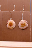 Seashell | Earrings