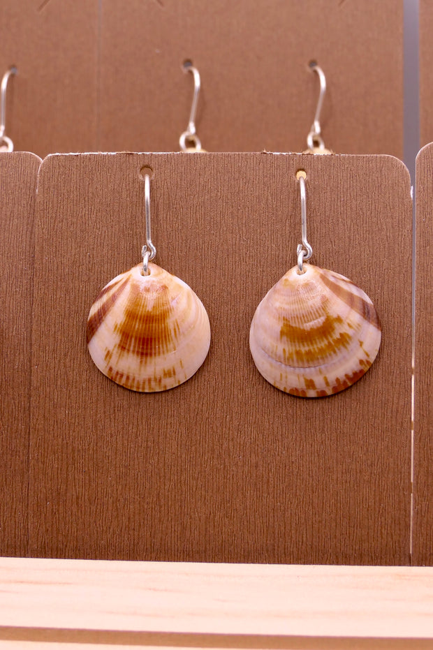 Seashell | Earrings