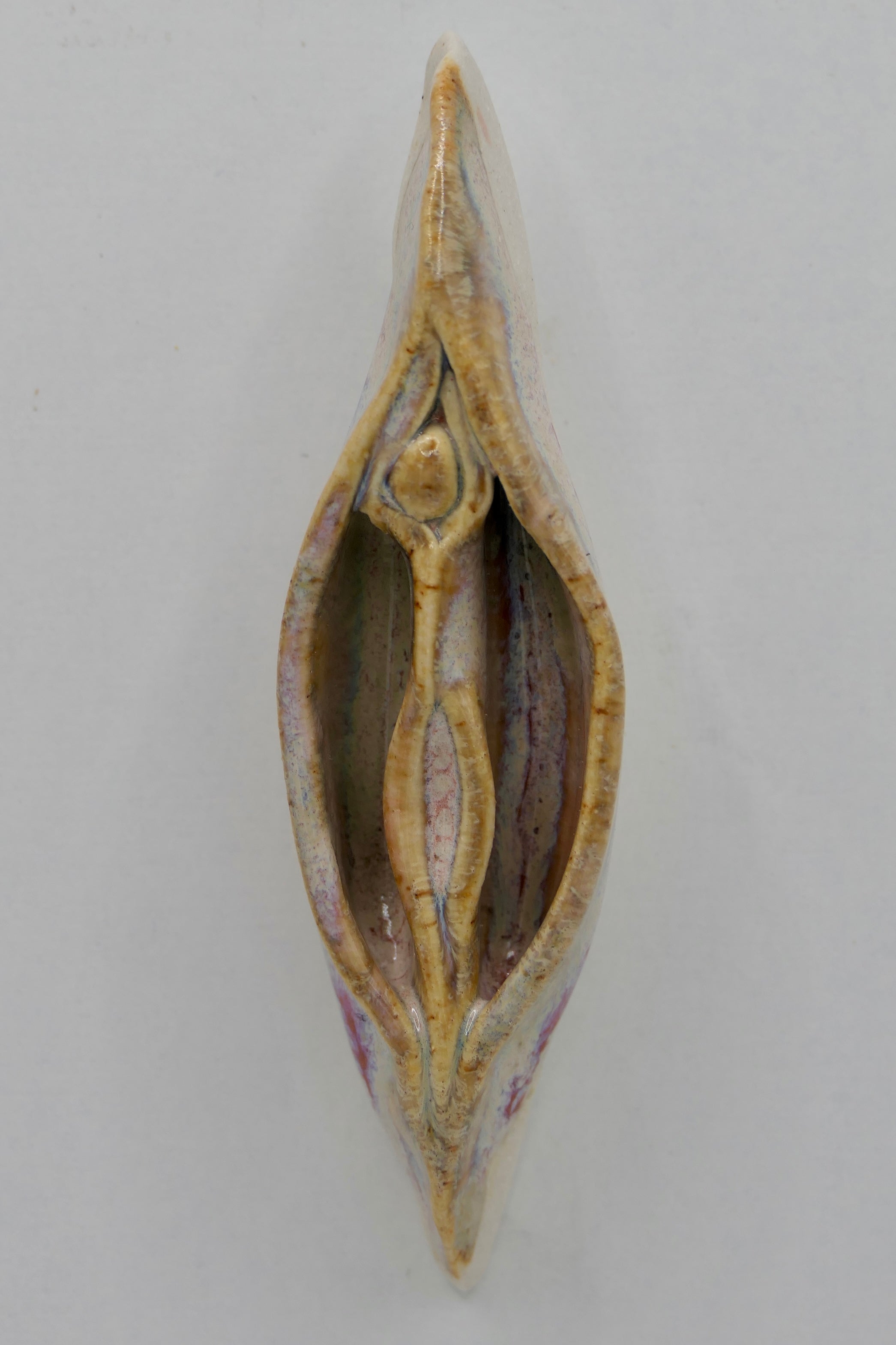 Beige Vulva