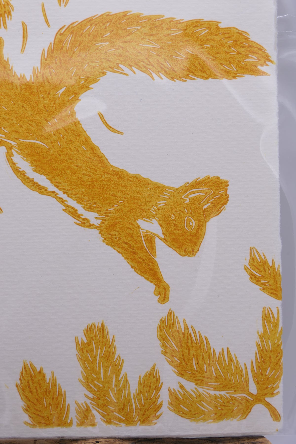 Squirrel | Greeting cards