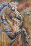 Spirit Unbridled