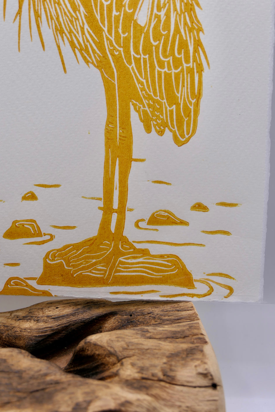 Heron