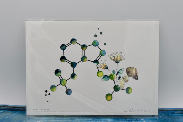 Psilocybin Print