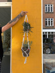 Double Macramé hanger