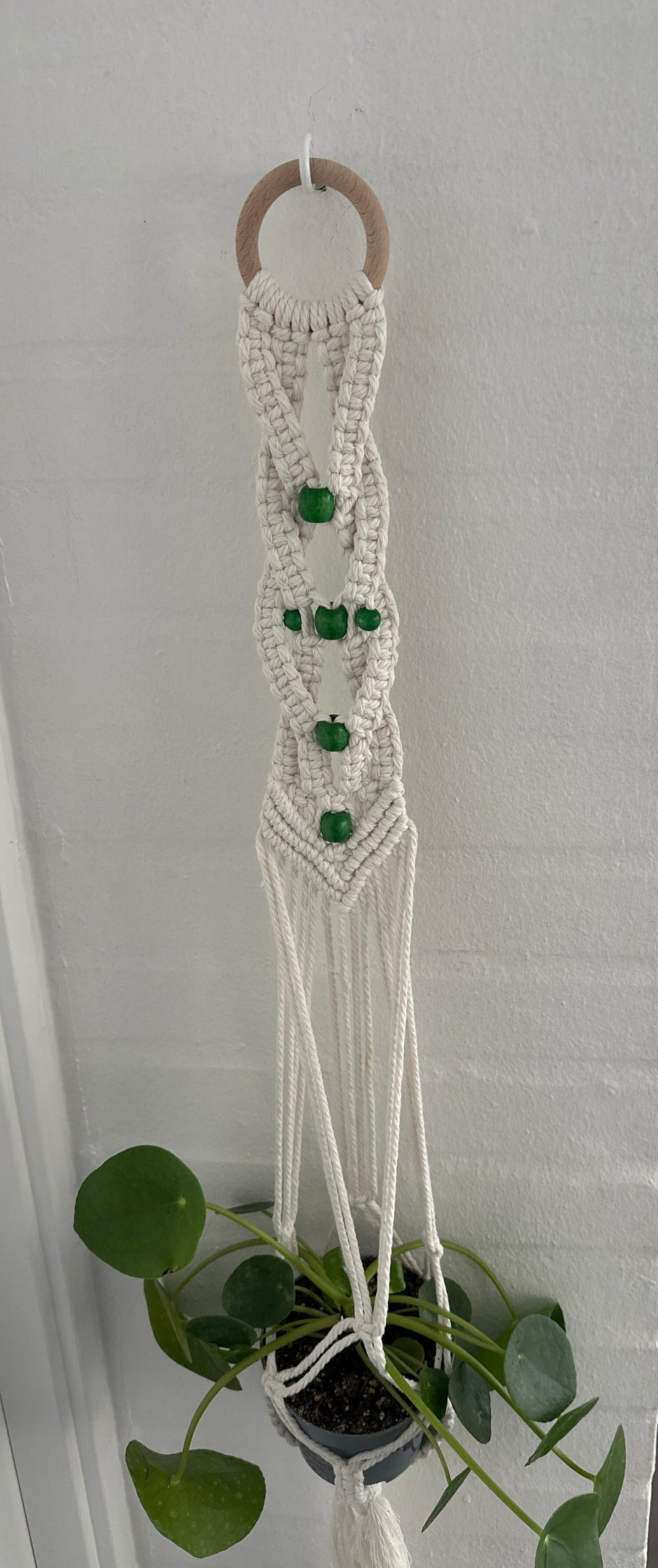 Macrame Plant Hanger | September 12th 17.00-19.30