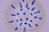 Blue dots bowl