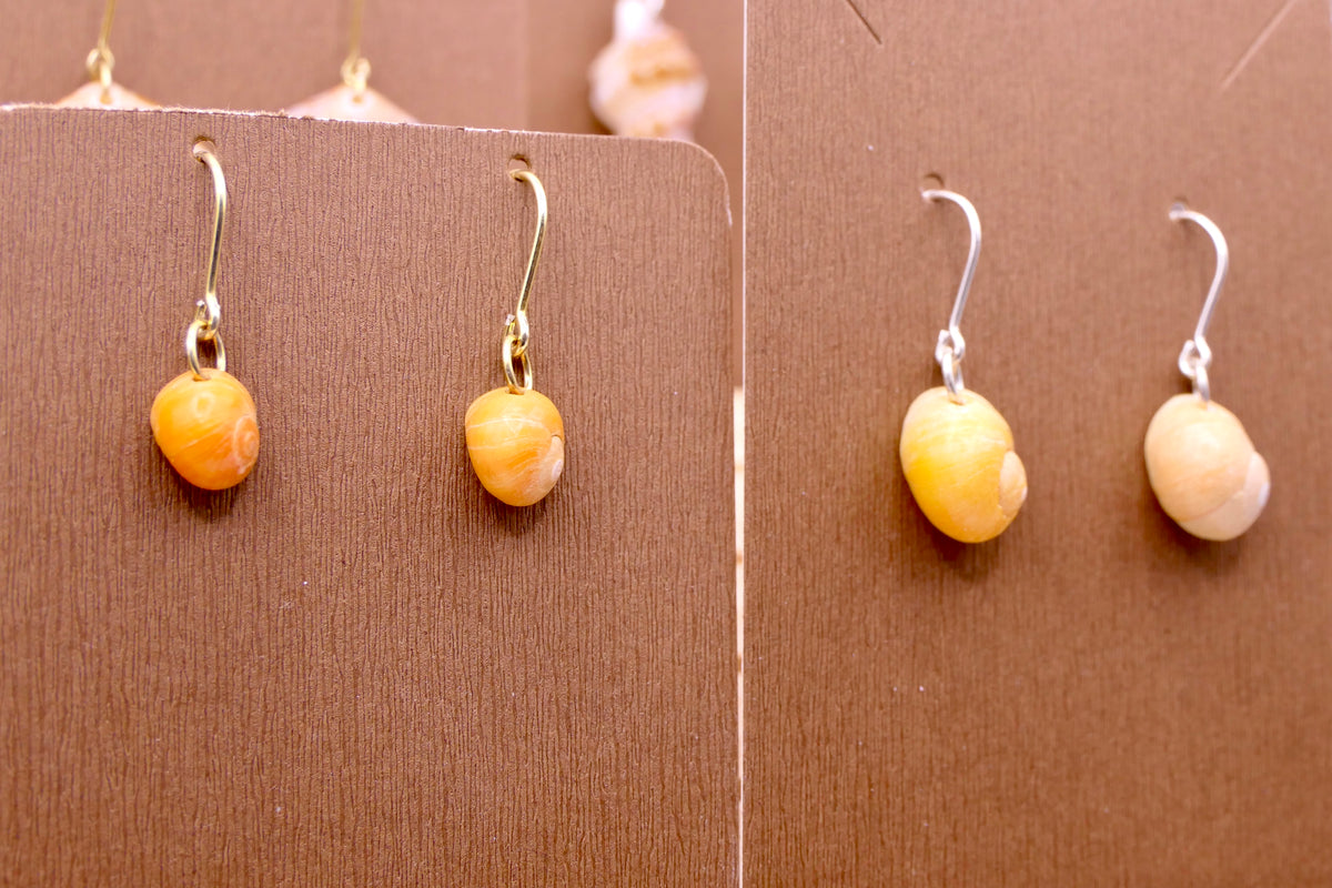 Yellow Beach snails | Earrings