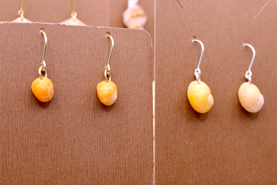 Yellow Beach snails | Earrings