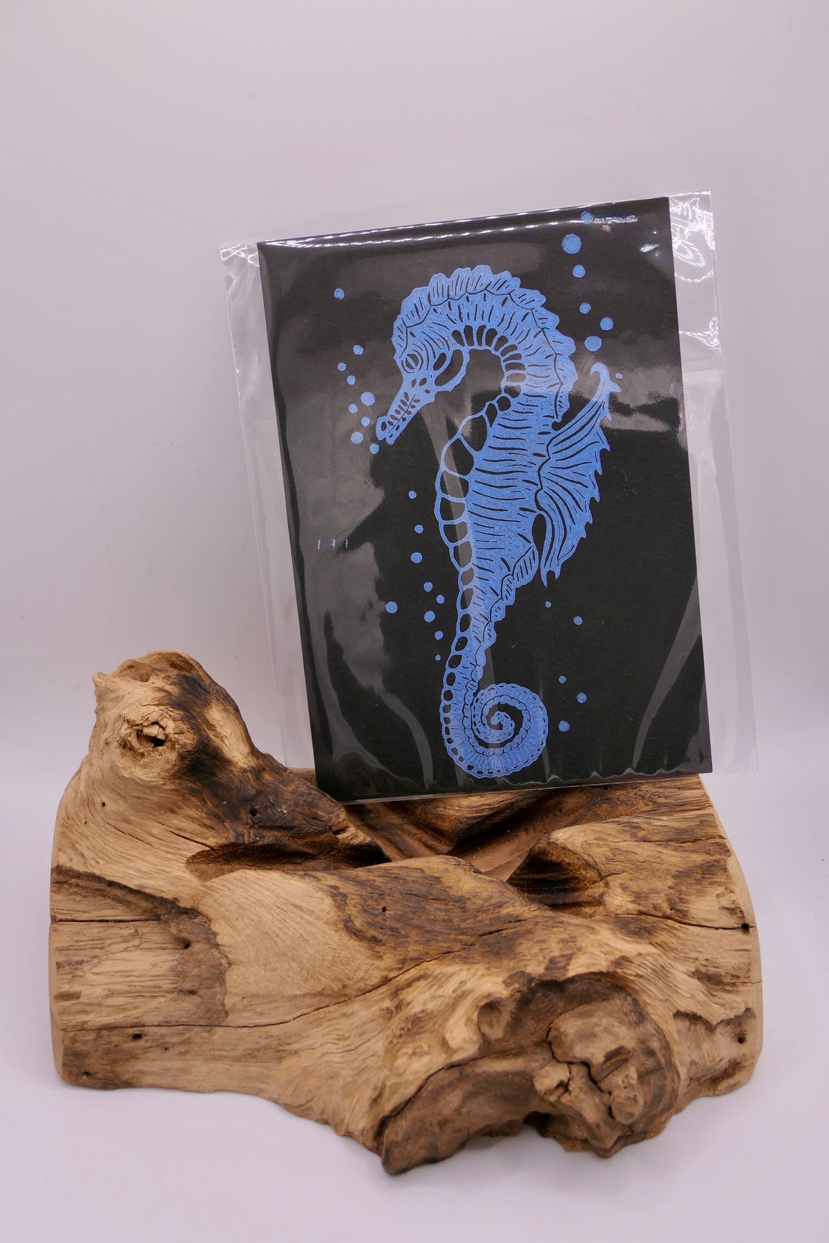 Seahorse | Greeting cards