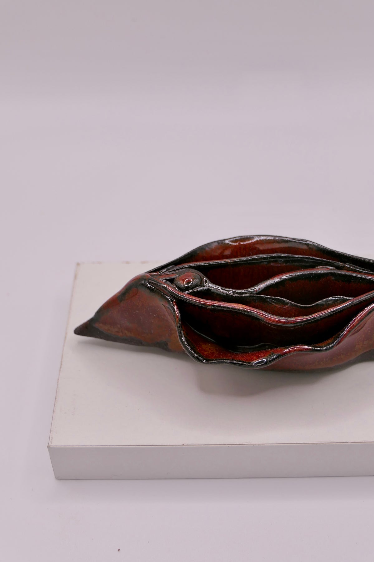 Dark vulva