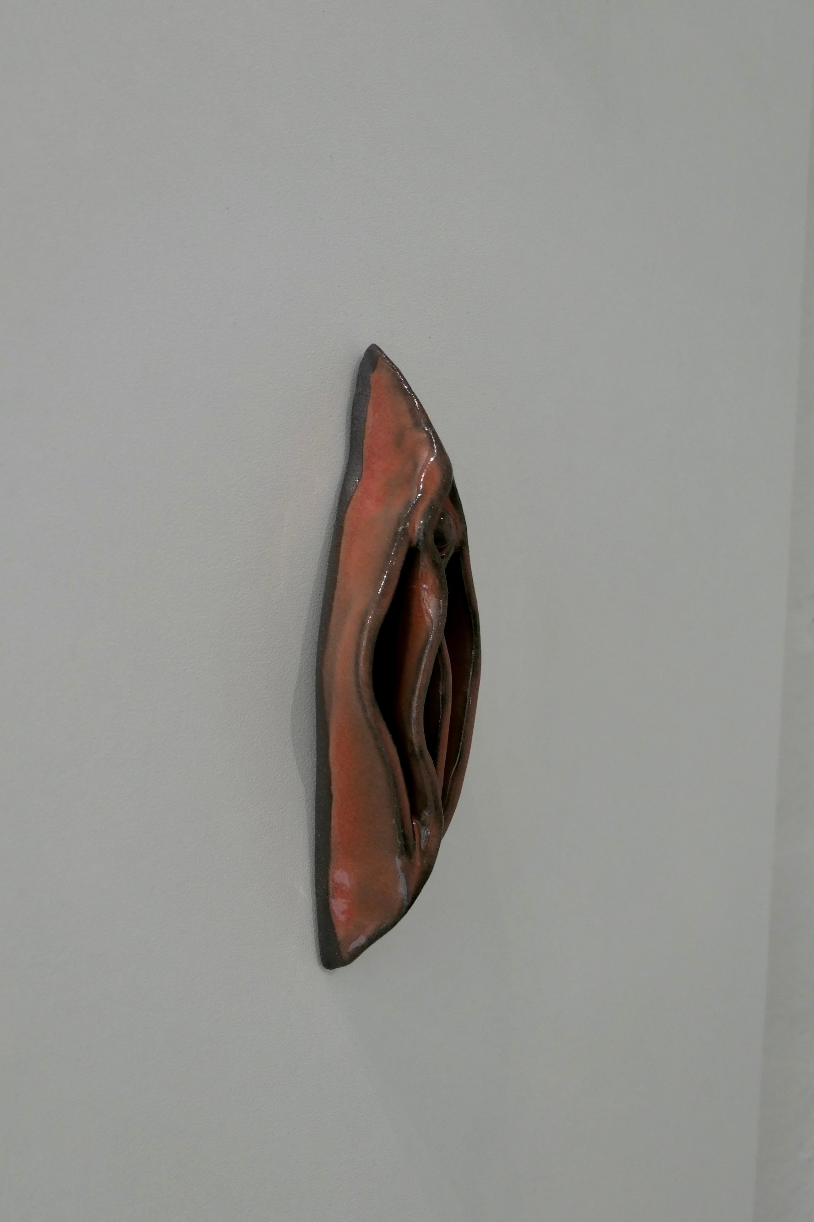 Dark red vulva