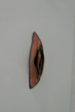 Dark red vulva