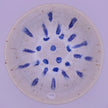 Blue dots bowl