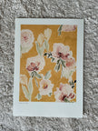 Rose pivoine