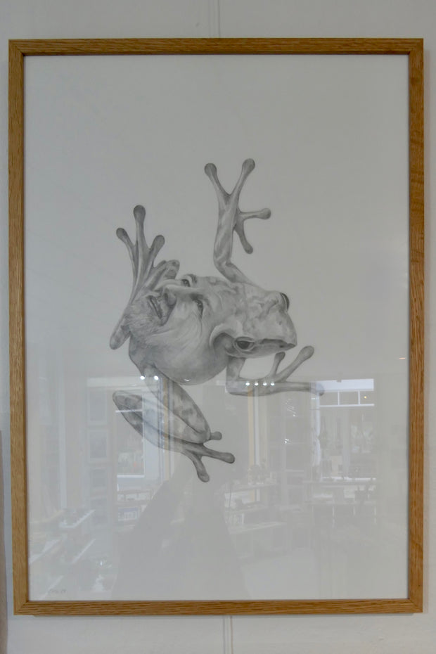 Janus frøer I