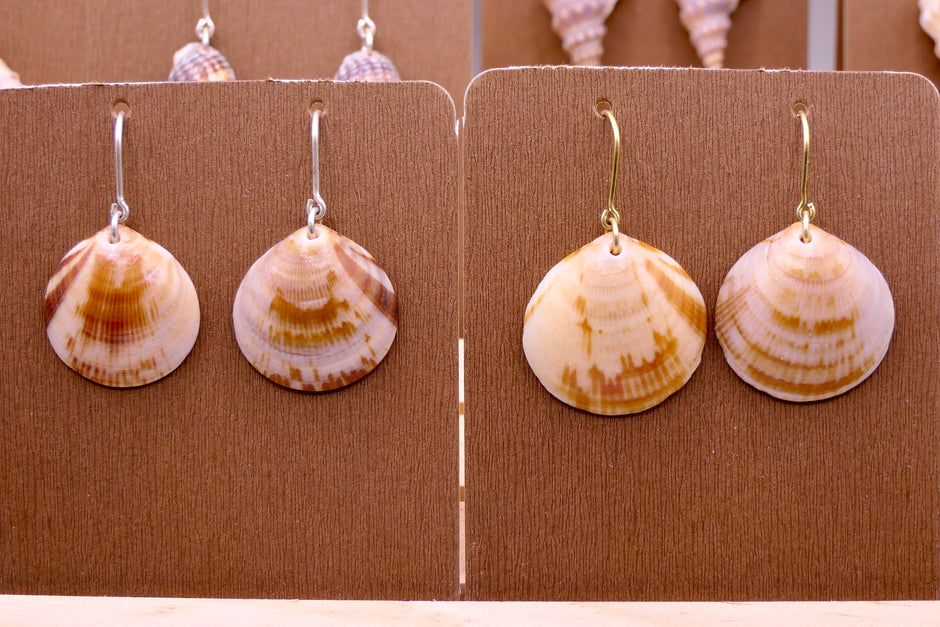 Seashell | Earrings