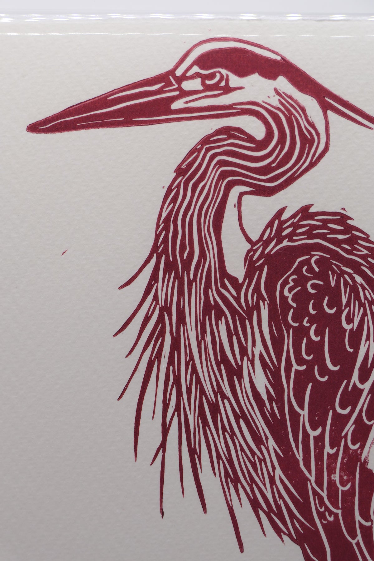 Heron