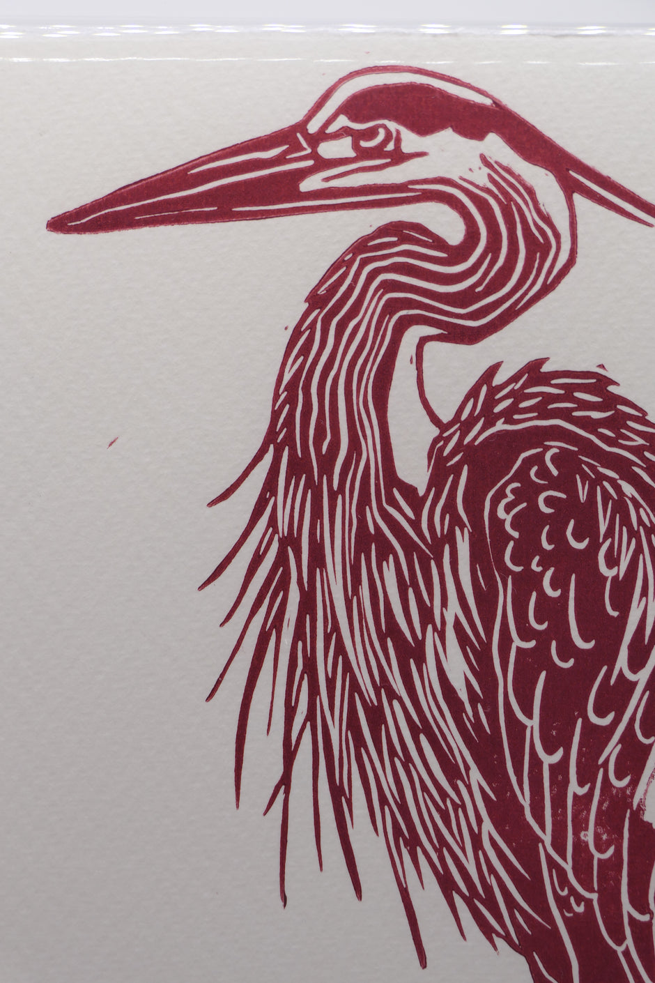 Heron
