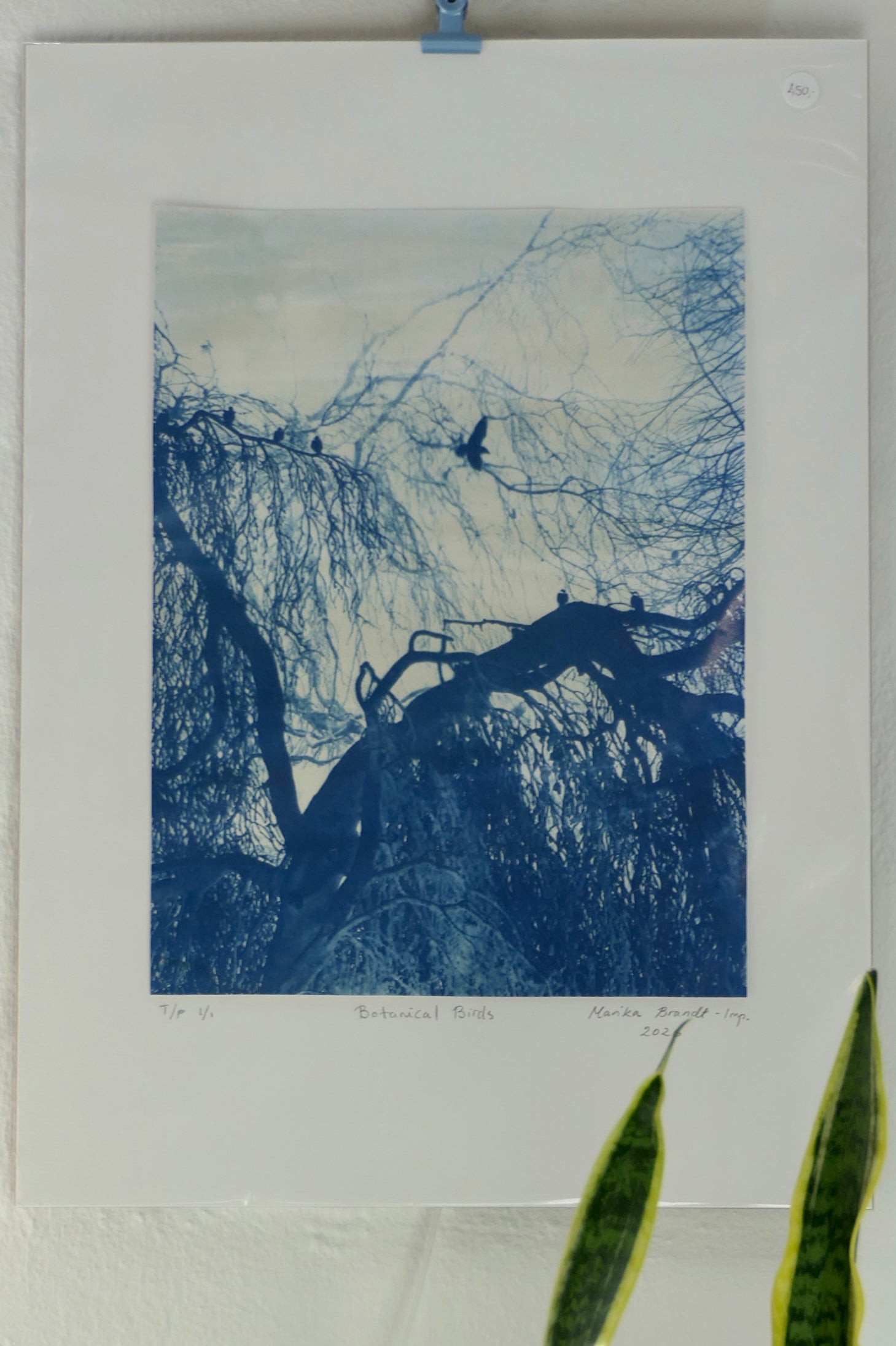 Botanical Birds