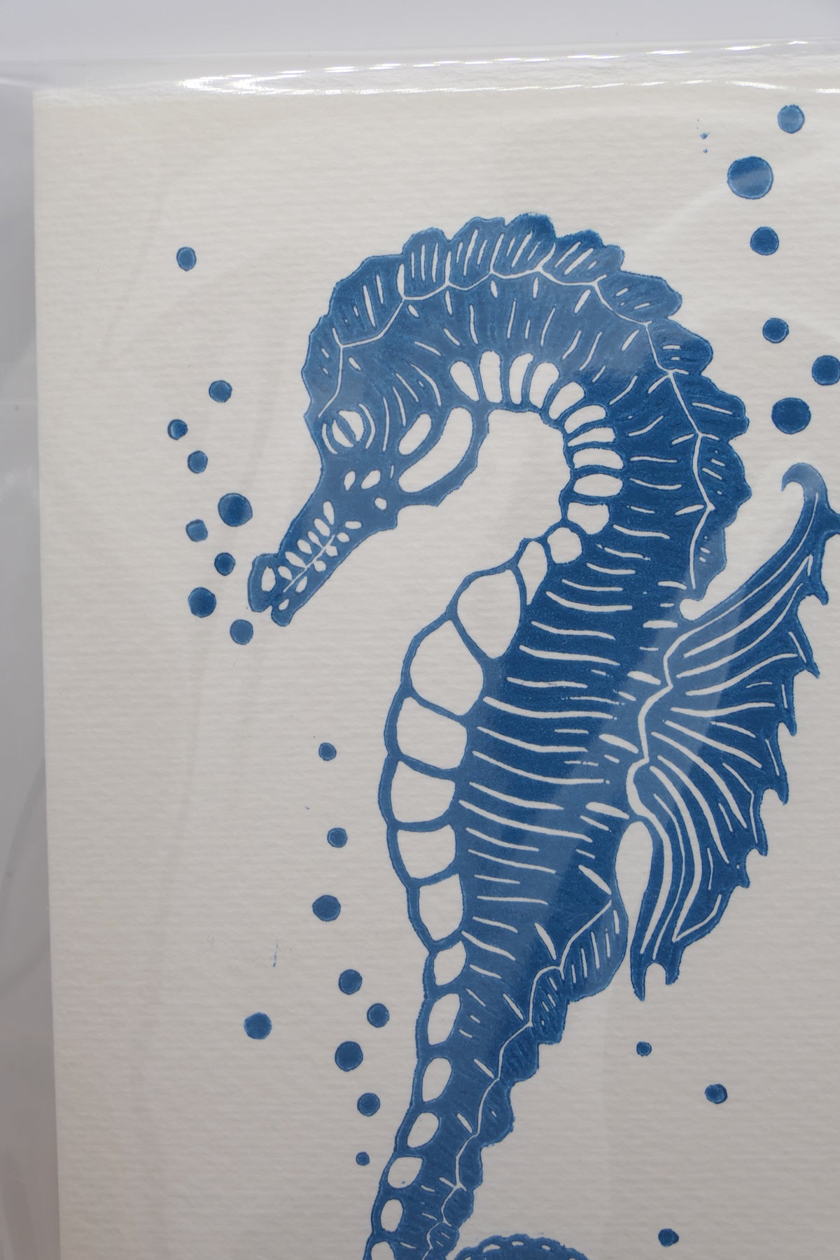 Seahorse | Greeting cards