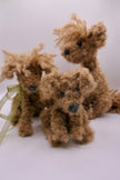 Dogs