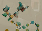Duloxetine