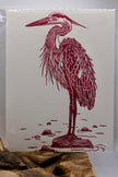 Heron
